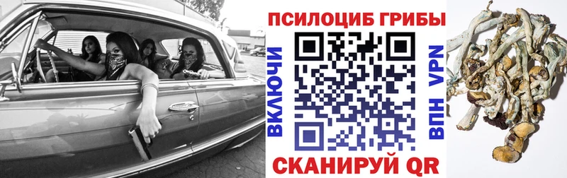 OMG зеркало Звенигово Галлюциногенные грибы Psilocybine cubensis